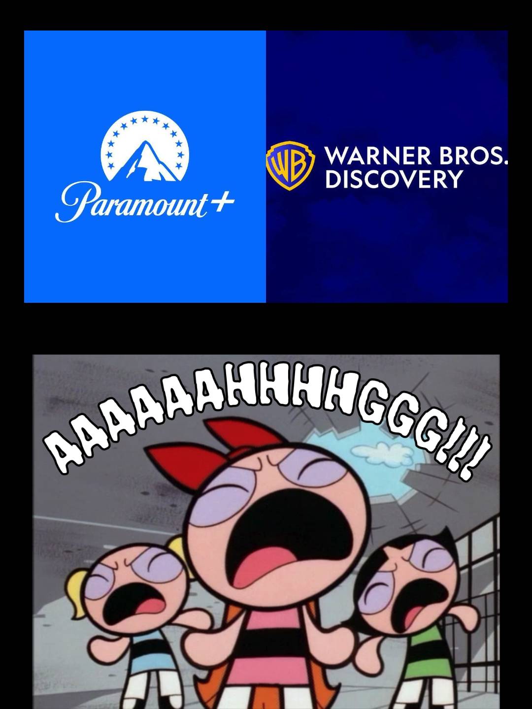 Warner Bros merging with Paramount enrages PPG by ZytheSBandPPG2007 on ...