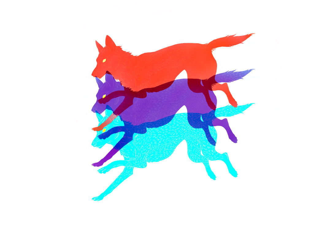 Tri Colored Wolves Tricolor-wolf by KyokoKishimoto on DeviantArt