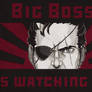 Big Boss is watching you