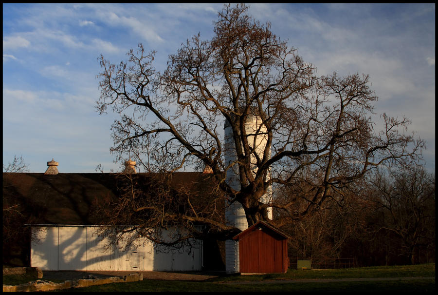 Right Side Up Barn