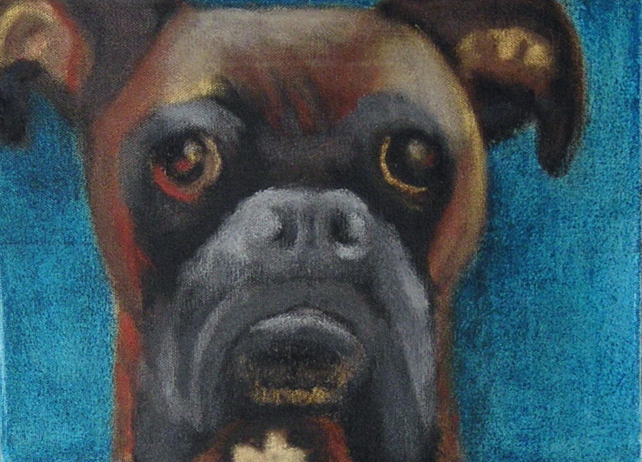 Rudy by heidigoddard on DeviantArt