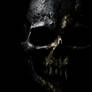 Dark skull
