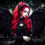 Black angel