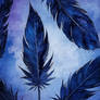 Feathers Challenge 13/05