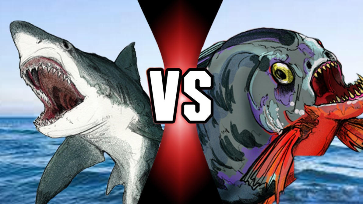 Mega shark versus mega Piranha by losttapes00 on DeviantArt