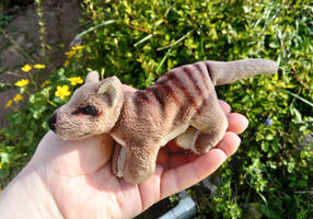 Pocket Thylacine