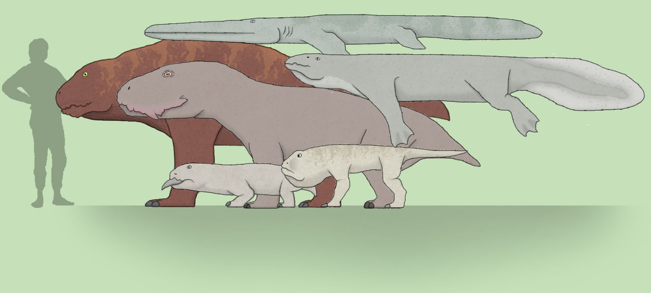 Far Future Amphibians by Brainloading on DeviantArt