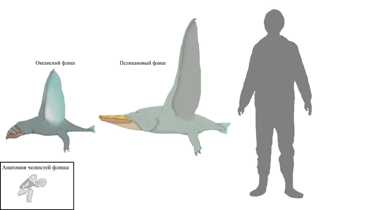 Improved flish by Brainloading on DeviantArt