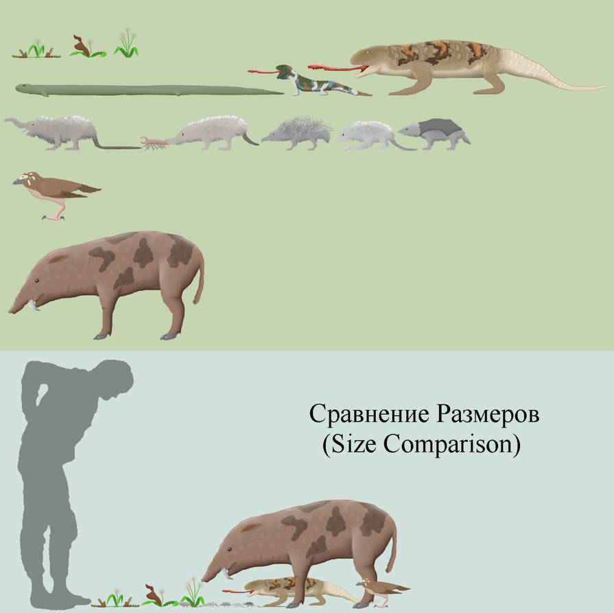 BoT: Landfill Dwellers (10 myh) by Brainloading on DeviantArt