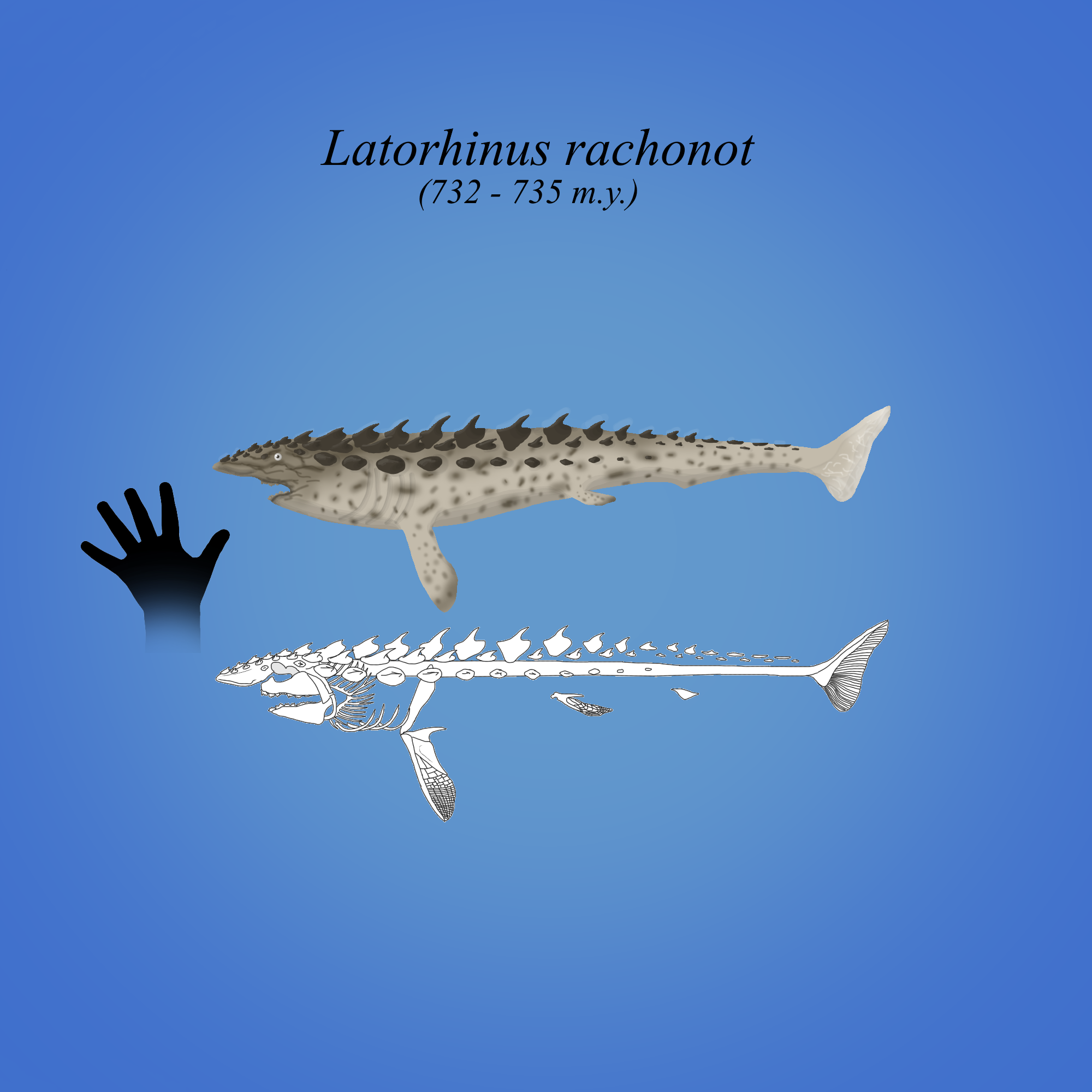 BoT: Latorhinus rachonot (734 myh) by Brainloading on DeviantArt