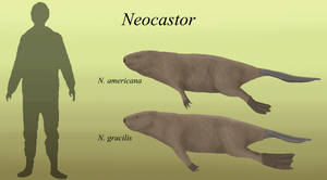 Brainloading User Profile | DeviantArt