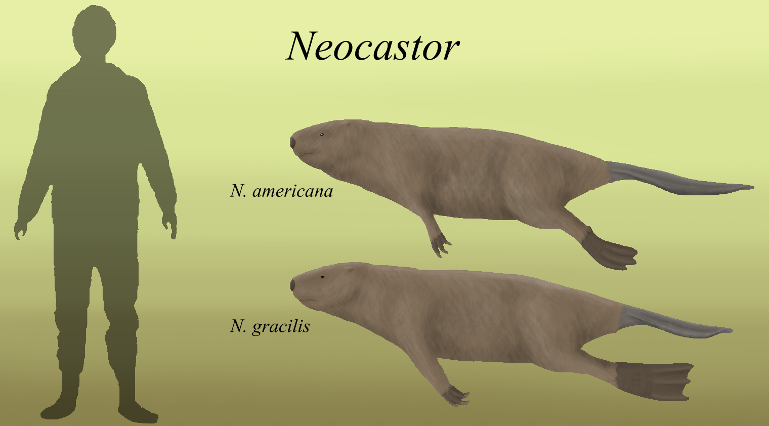 BoT: Neocastor (30 myh) by Brainloading on DeviantArt