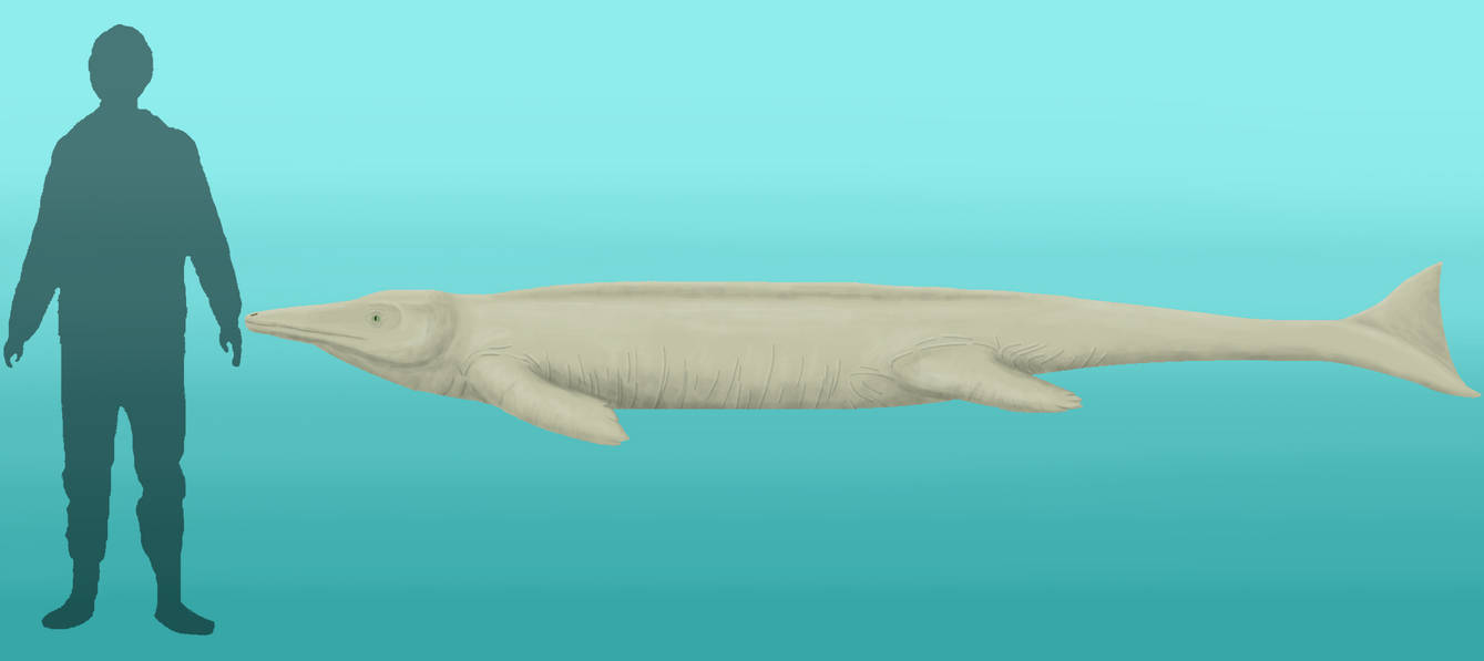 BoT: Eodontosuchus triquetrus (112 myh) by Brainloading on DeviantArt