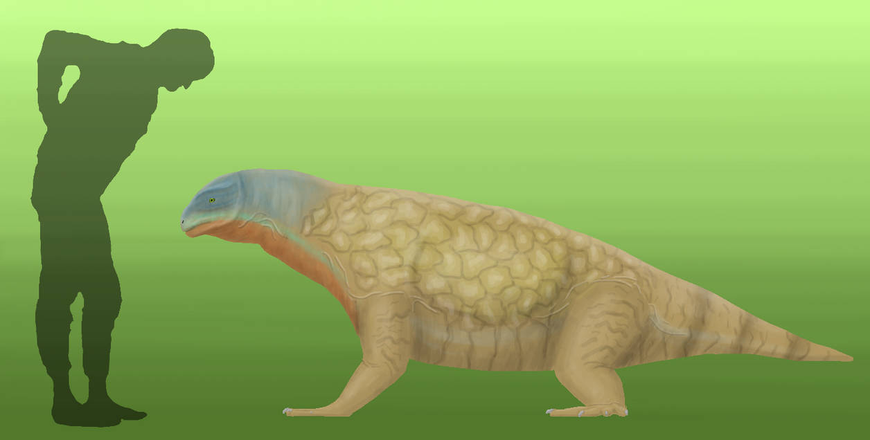 BoT: Streptascelis caerulea (112 myh) by Brainloading on DeviantArt