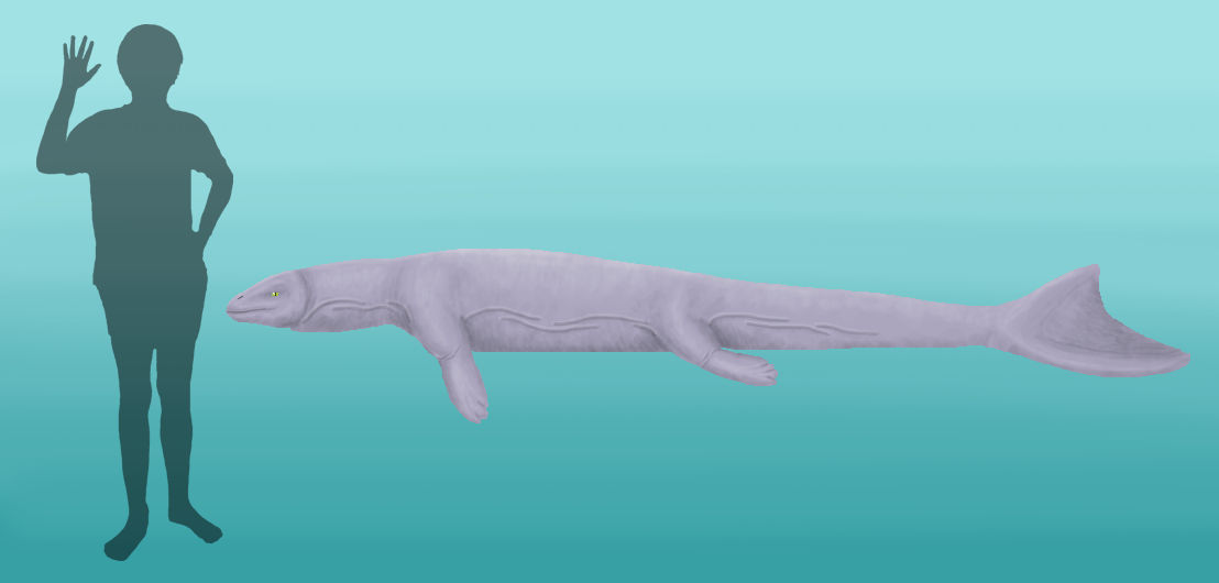 BoT: Ptychollus phaeous (112 myh) by Brainloading on DeviantArt