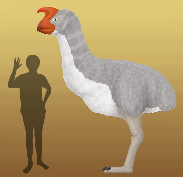 BoT: Rhynutoceraves aigialos (210 myh) by Brainloading on DeviantArt