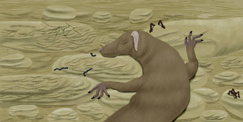 Brainloading User Profile | DeviantArt