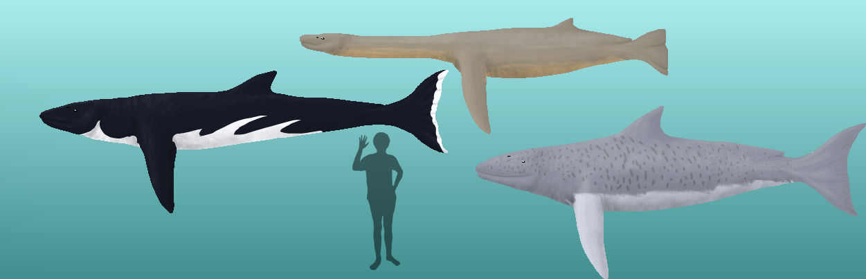 BoT: Late Dolichonipedes (280 myh) by Brainloading on DeviantArt