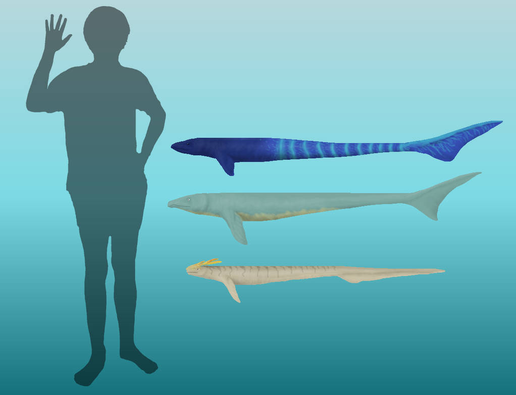 BoT: Meiopodasauridea (210 myh) by Brainloading on DeviantArt