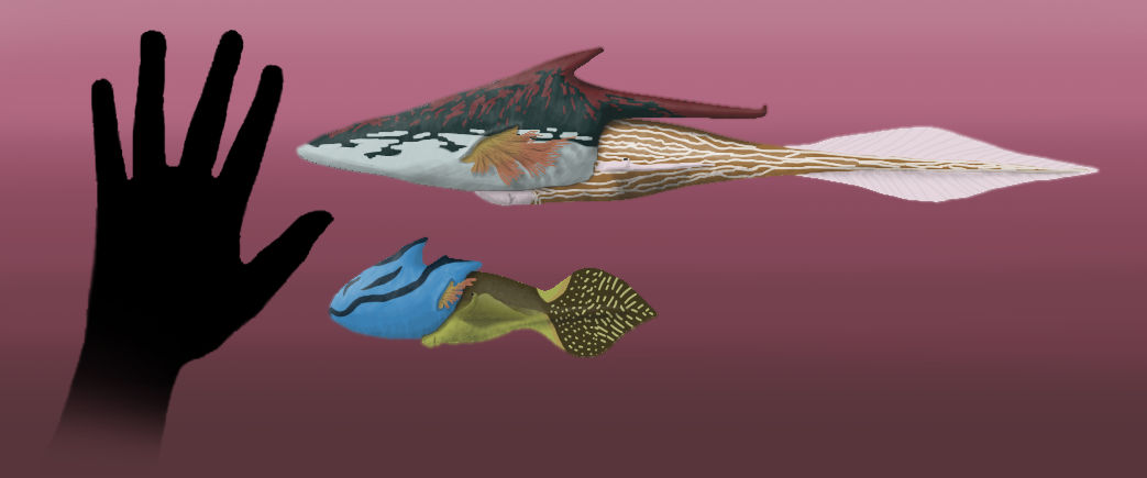 BoT: Aquatic Snails (450 myh) by Brainloading on DeviantArt