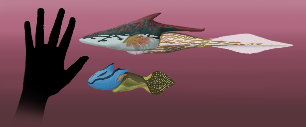 BoT: Aquatic Snails (450 myh) by Brainloading on DeviantArt