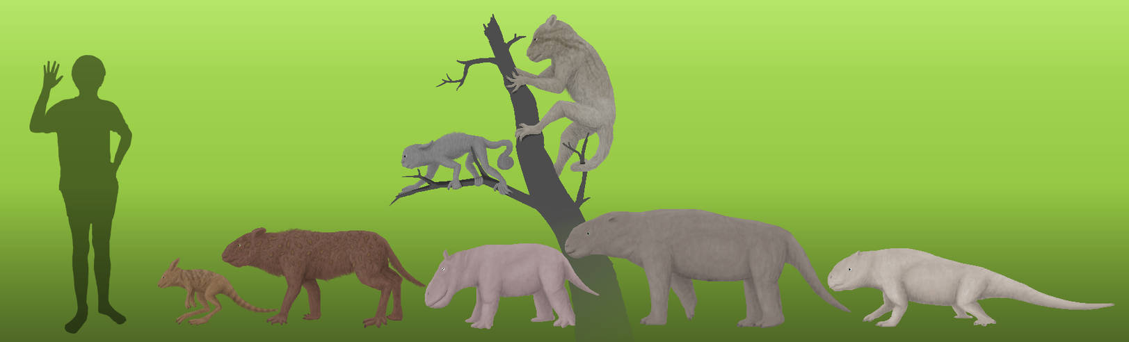 BoT: South American Marsupials (30 myh) by Brainloading on DeviantArt