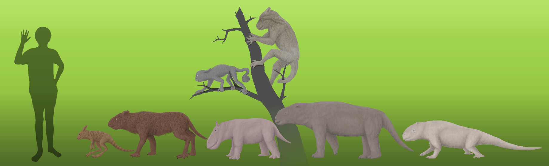 BoT: South American Marsupials (30 myh) by Brainloading on DeviantArt