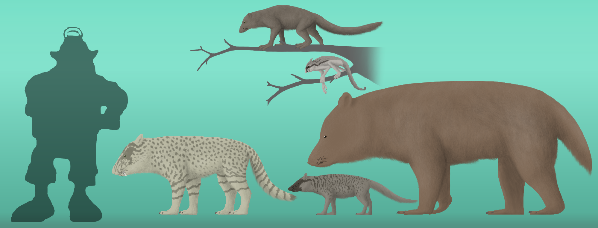 BoT: Postanthropogene procyonids (30 myh) by Brainloading on DeviantArt