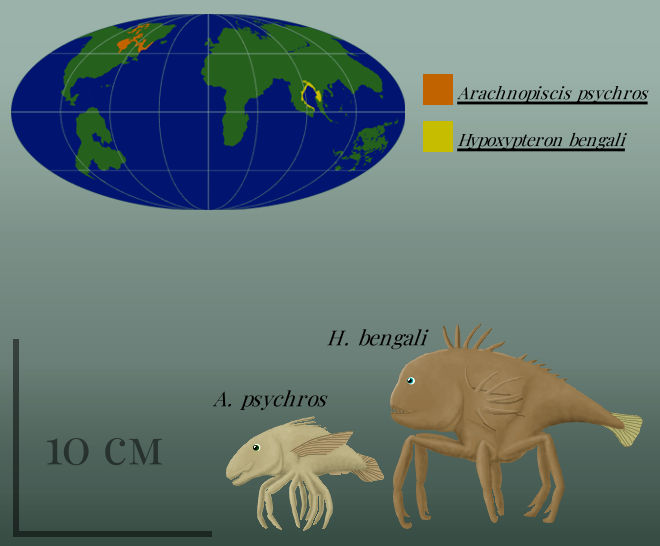 Botlog Shellfish BoT: Legfish (112 myh) by Brainloading on DeviantArt