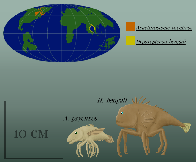 BoT: Legfish (112 myh) by Brainloading on DeviantArt