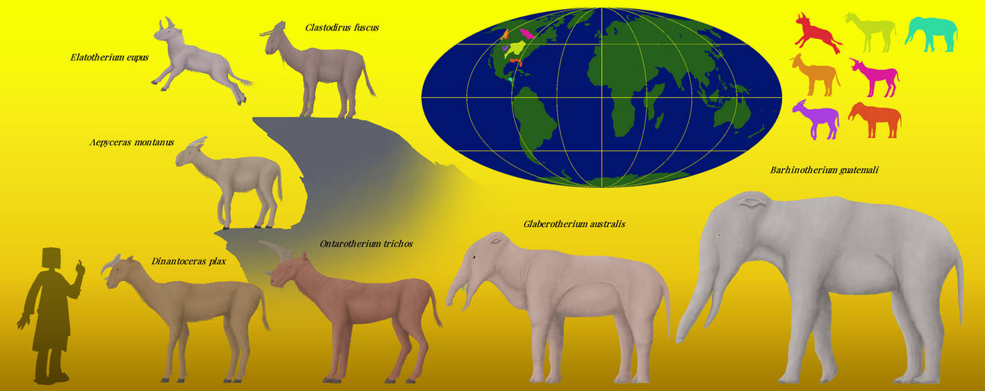 BoT: Future Procyonids 2 (30 myh) by Brainloading on DeviantArt