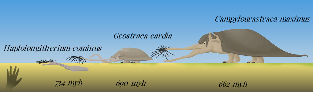BoT: Very Far Future Procyonids (662 - 734 myh) by Brainloading on ...
