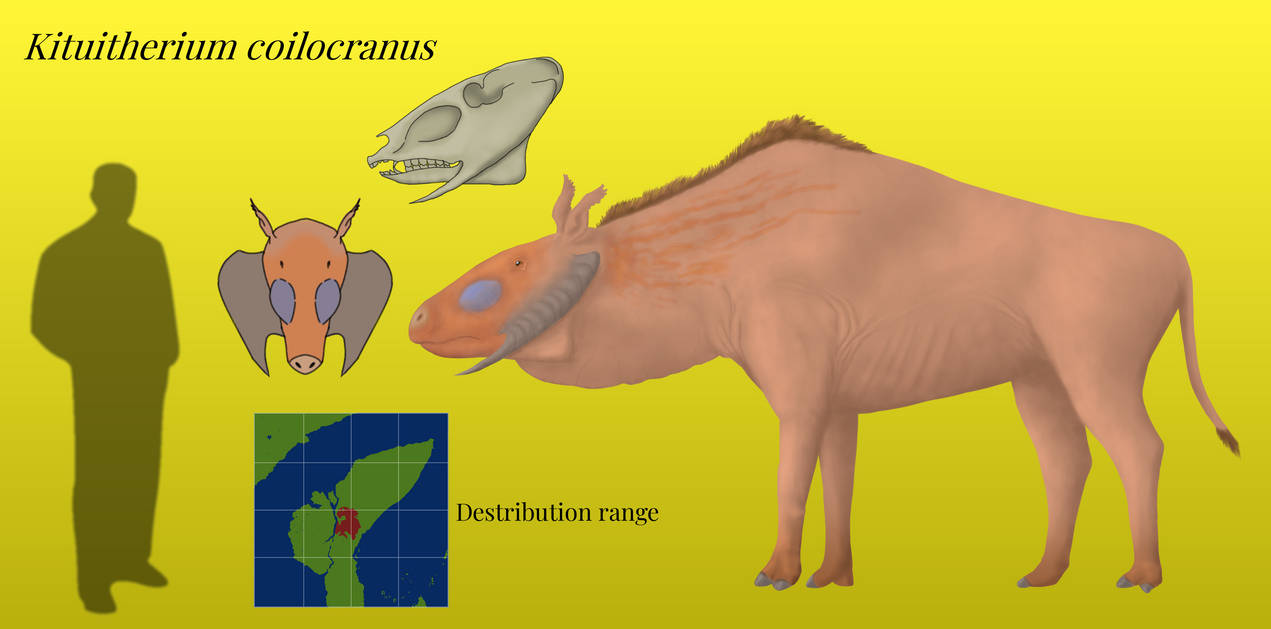 BoT: Kithuitherium coilocranus (30 myh) by Brainloading on DeviantArt