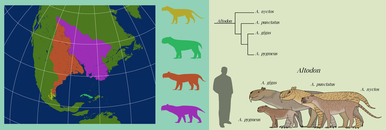 BoT: Altodon (112 myh) by Brainloading on DeviantArt