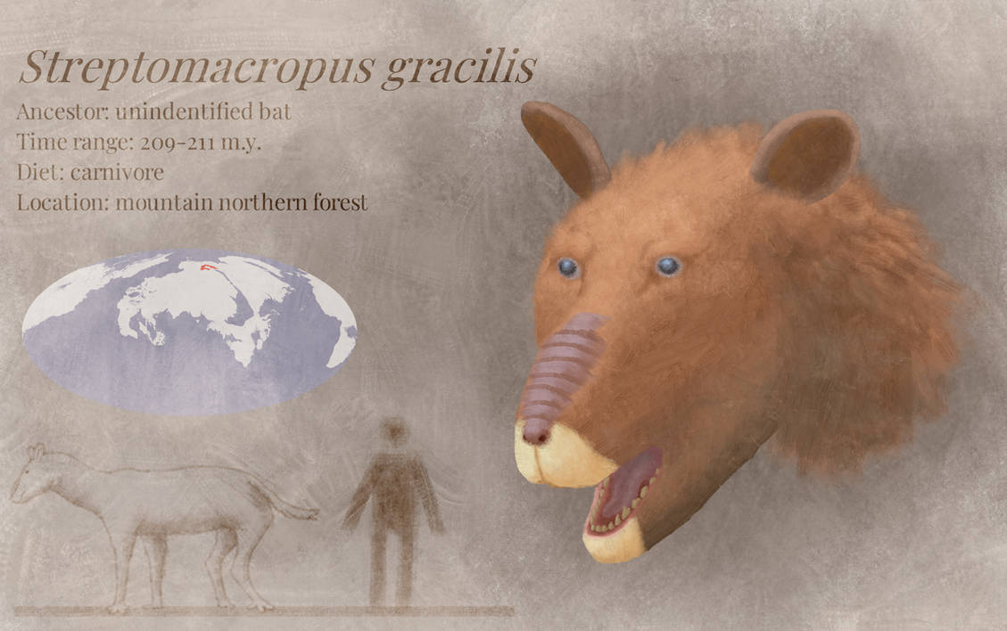 BoT: Strepromacropus gracilis (210 myh) by Brainloading on DeviantArt