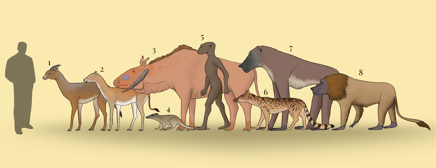 BoT: Fauna of Lemurian savanna (30 myh) by Brainloading on DeviantArt