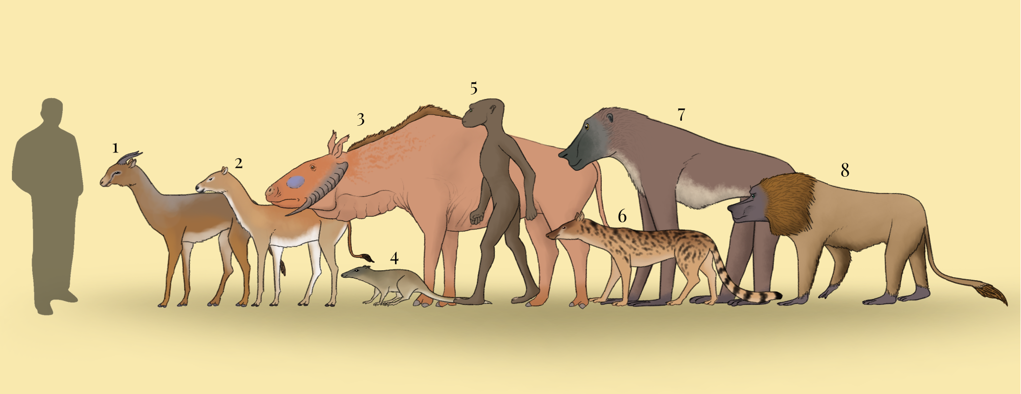 BoT: Fauna of Lemurian savanna (30 myh) by Brainloading on DeviantArt