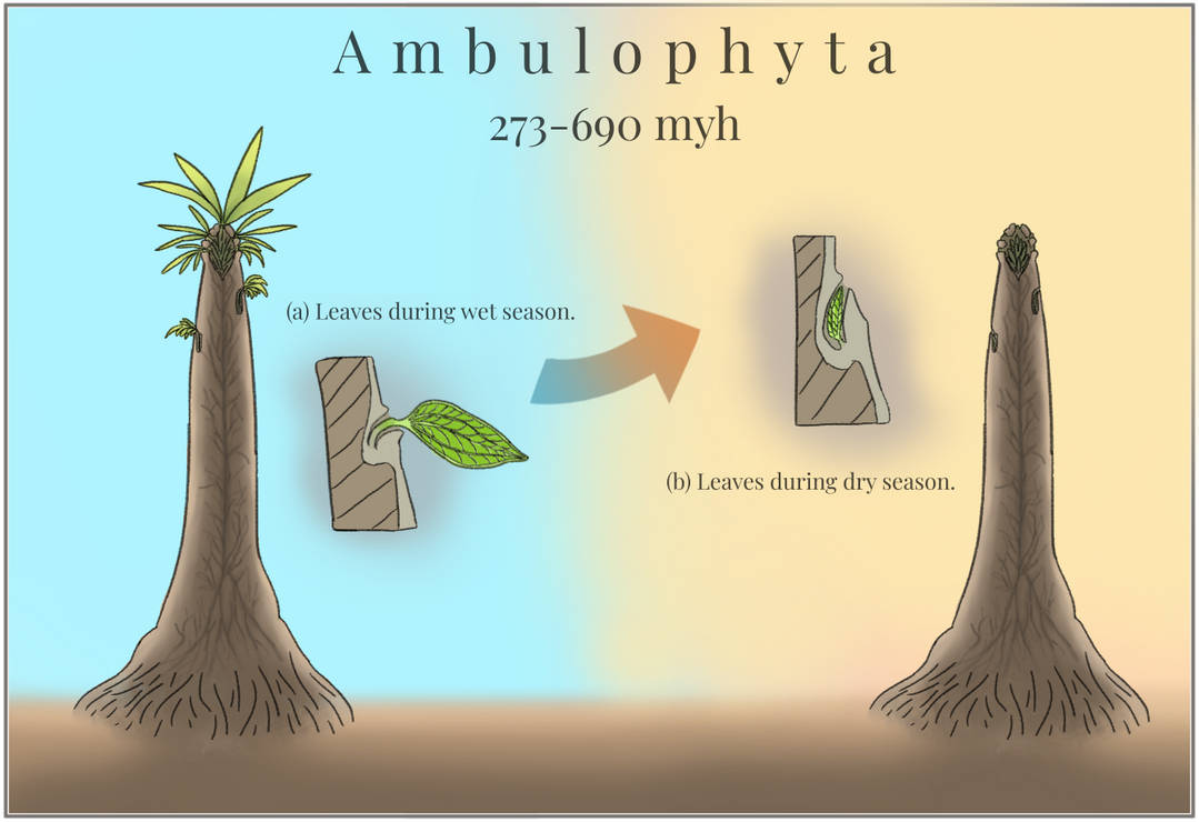 BoT: Ambulophyta (273 - 690 myh) by Brainloading on DeviantArt