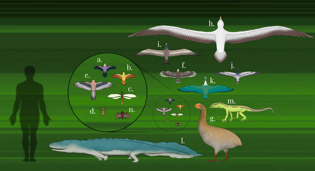 Brainloading User Profile | DeviantArt