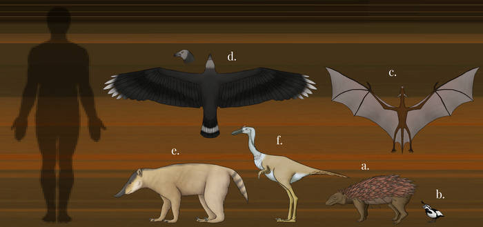 Brainloading User Profile | DeviantArt