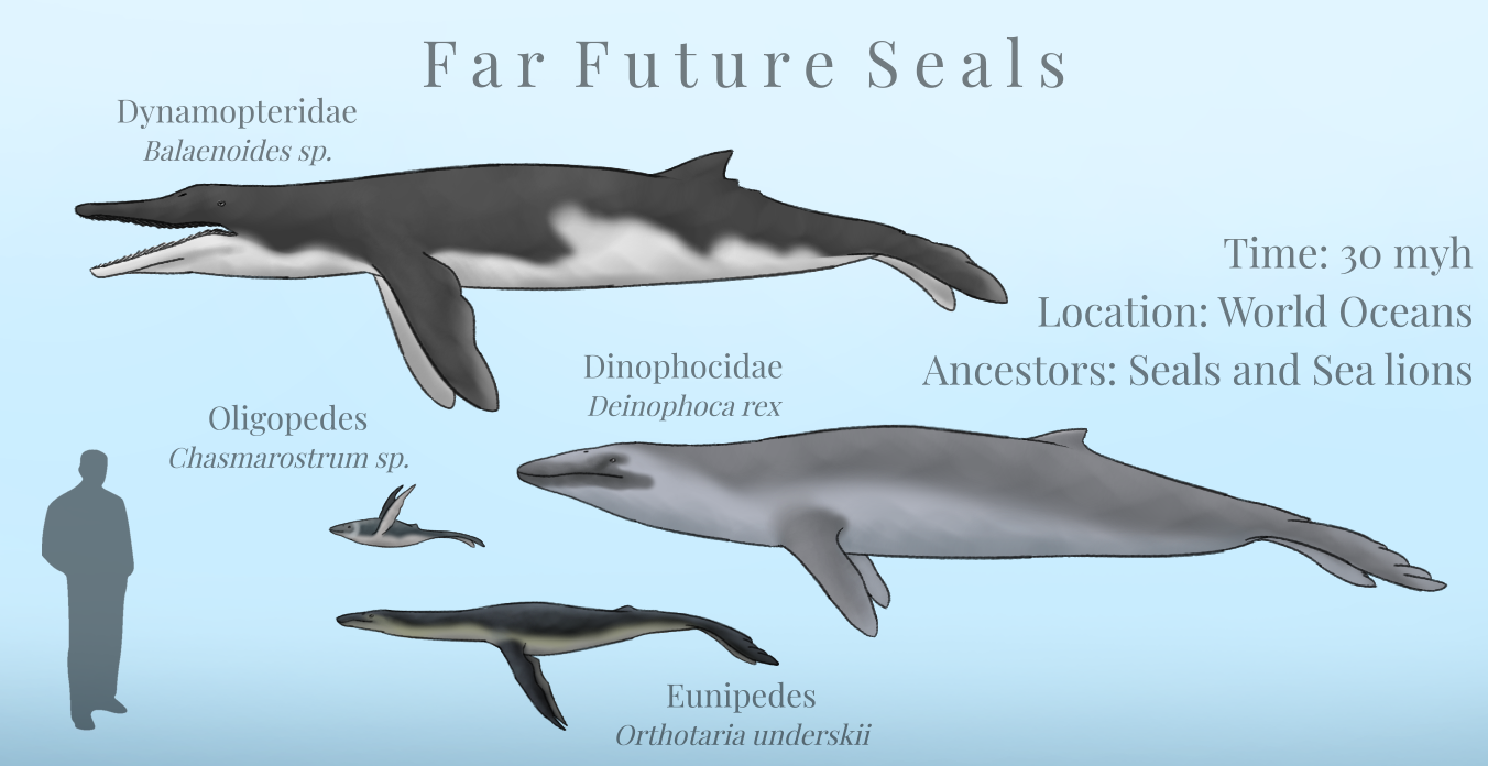BoT: Far Future Seals (30 myh) by Brainloading on DeviantArt