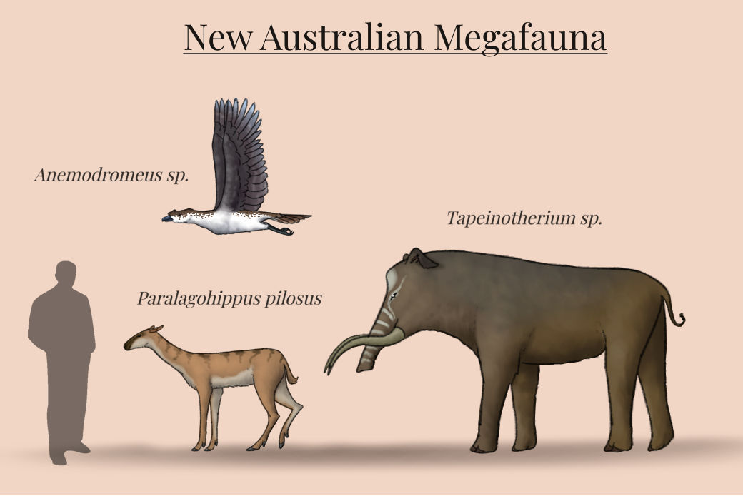 BoT: New Australian Megafauna (30 myh) by Brainloading on DeviantArt