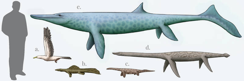 Brainloading User Profile | DeviantArt