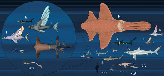 Brainloading User Profile | DeviantArt