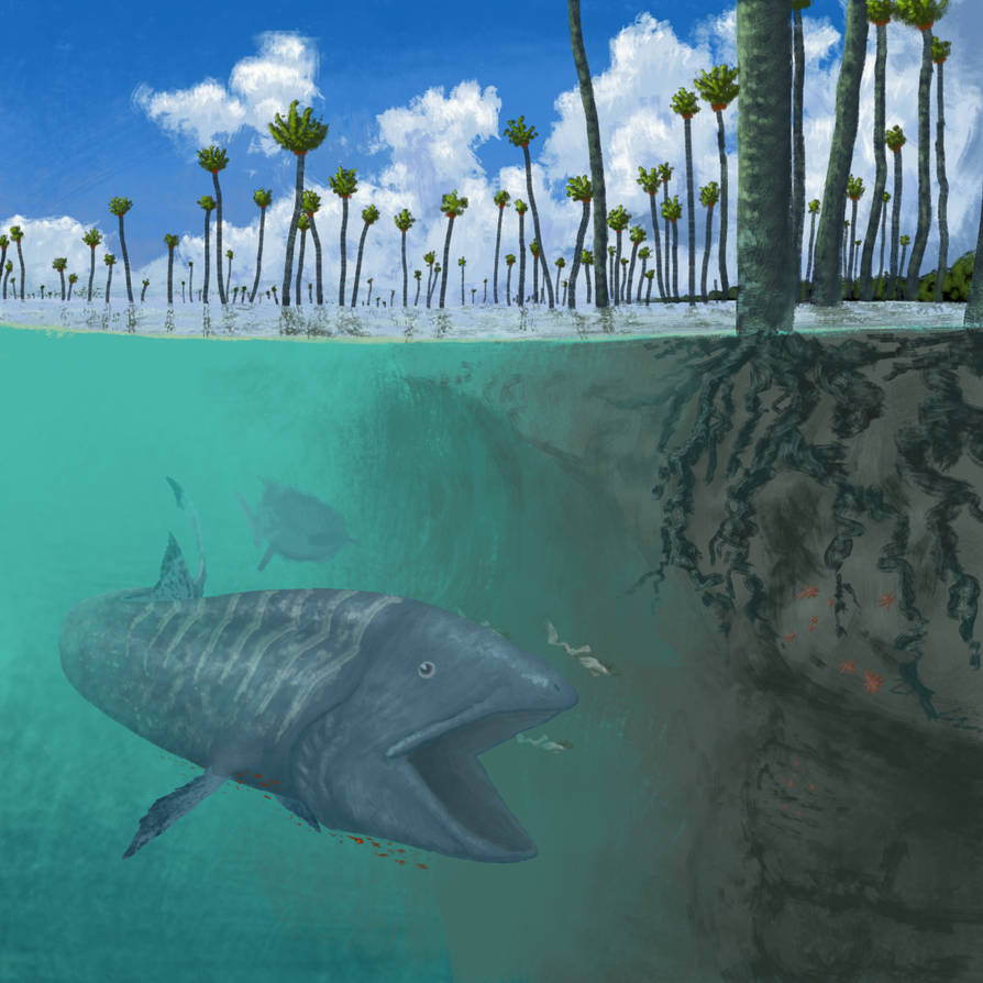 BoT: Mangrove Coast (112 myh) by Brainloading on DeviantArt