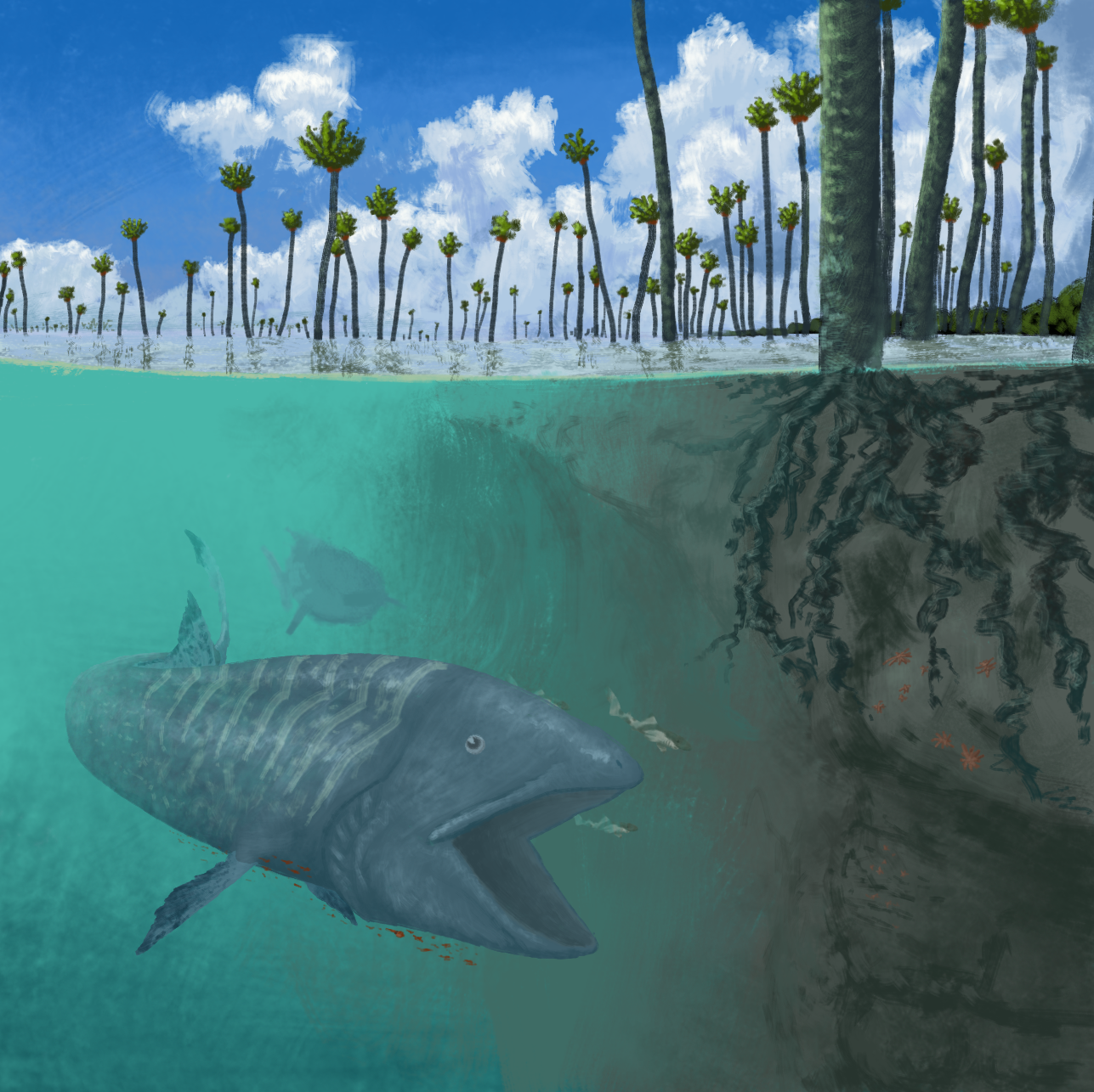 BoT: Mangrove Coast (112 myh) by Brainloading on DeviantArt