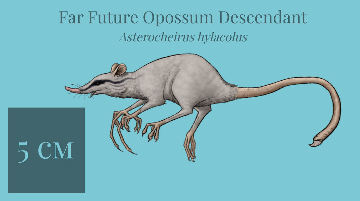 BoT: Amazon Tree Climber (112 myh) by Brainloading on DeviantArt