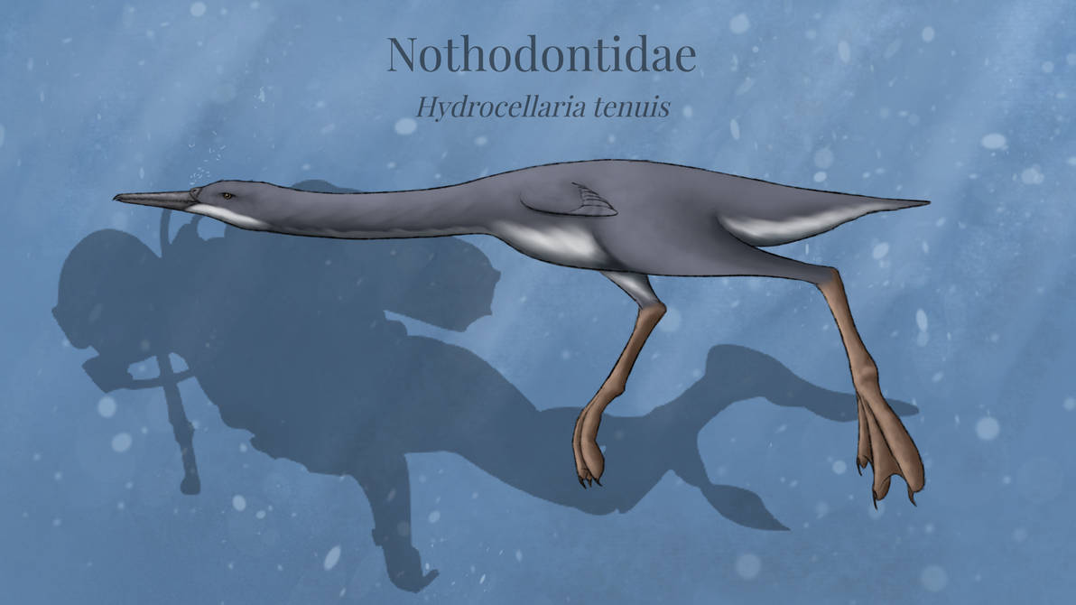 BoT: New Antarctic Seabirds (30 myh) by Brainloading on DeviantArt