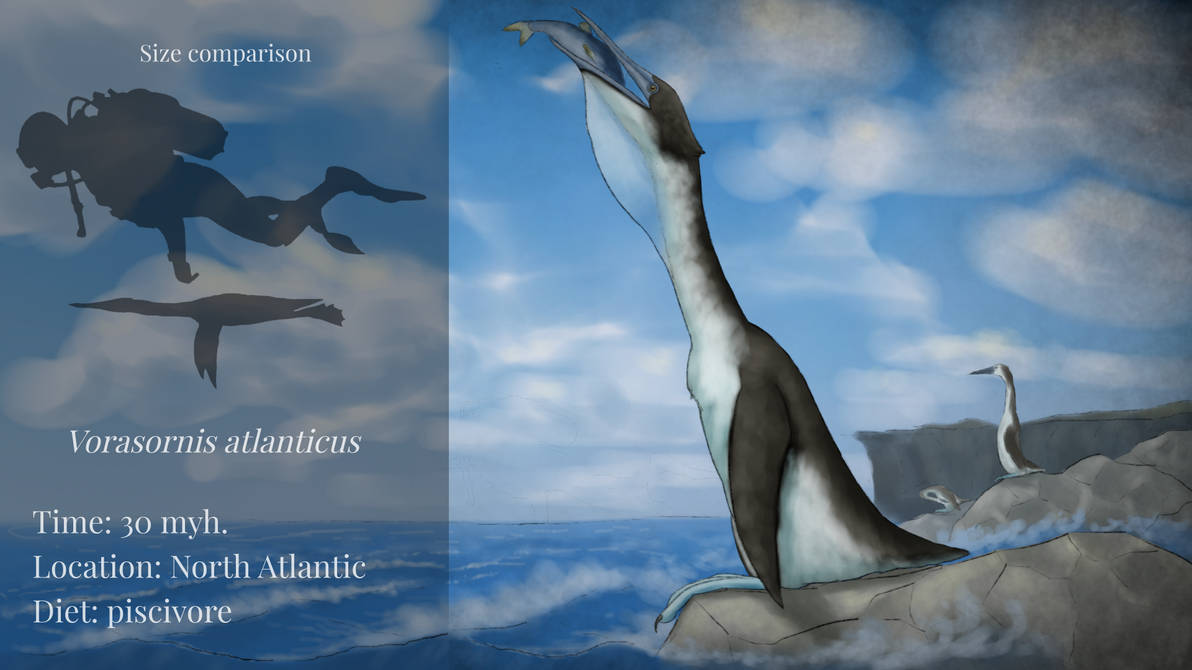 BoT: Gannetwhale (30 myh) by Brainloading on DeviantArt