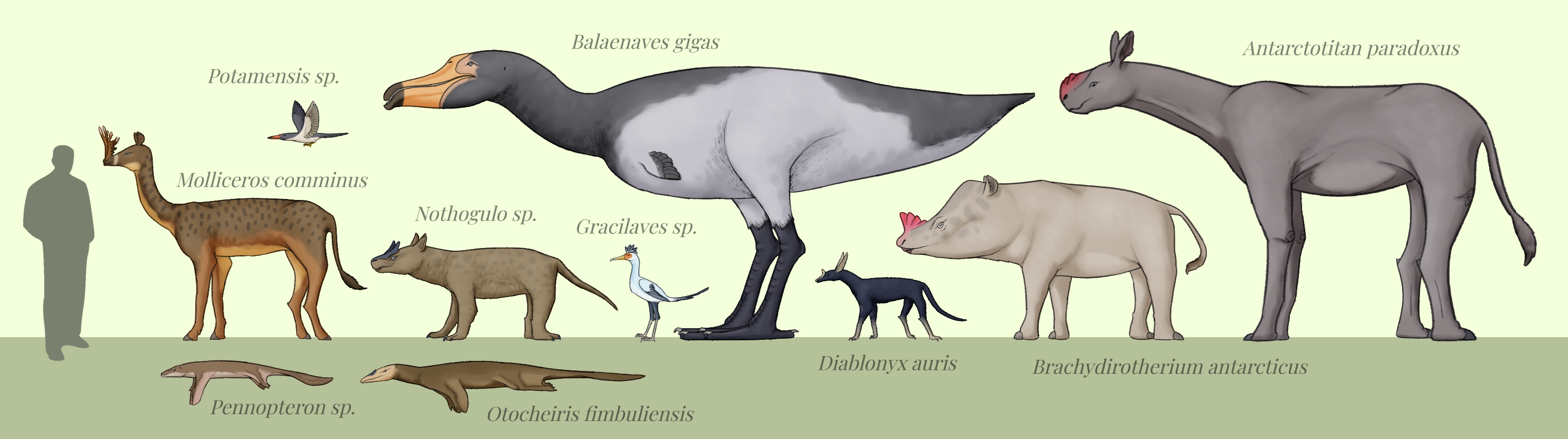 BoT: Examples of Antarctic Megafauna (112 myh) by Brainloading on ...